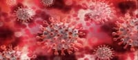 India Sees a Rise in COVID Cases: Letter from Center to states...